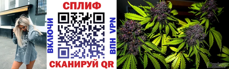 Конопля конопля  Купить  Лабытнанги 